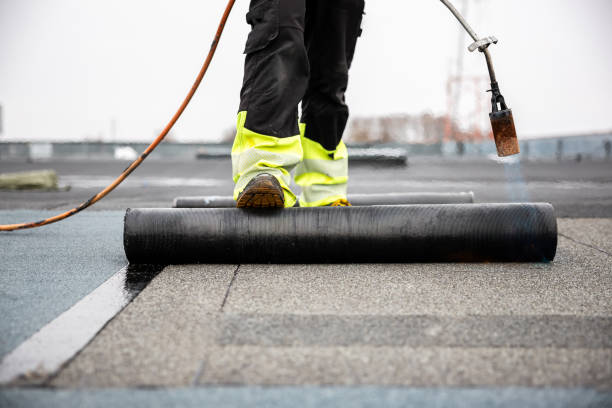 Roof Coating Services in Bayshore, NC